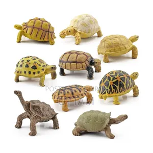 Turtle Toy