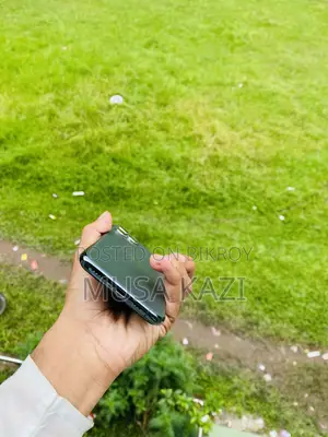 অ্যাপল আইফোন ১১ প্রো ২৫৬ জিবি গ্রে