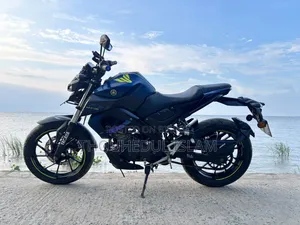 Yamaha MT-15 2022 Blue