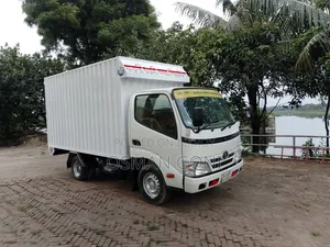 Toyota Dyna 2013 White