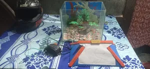 Aquarium Set