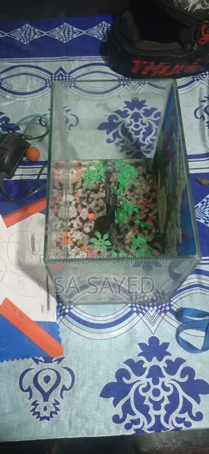 Aquarium Set