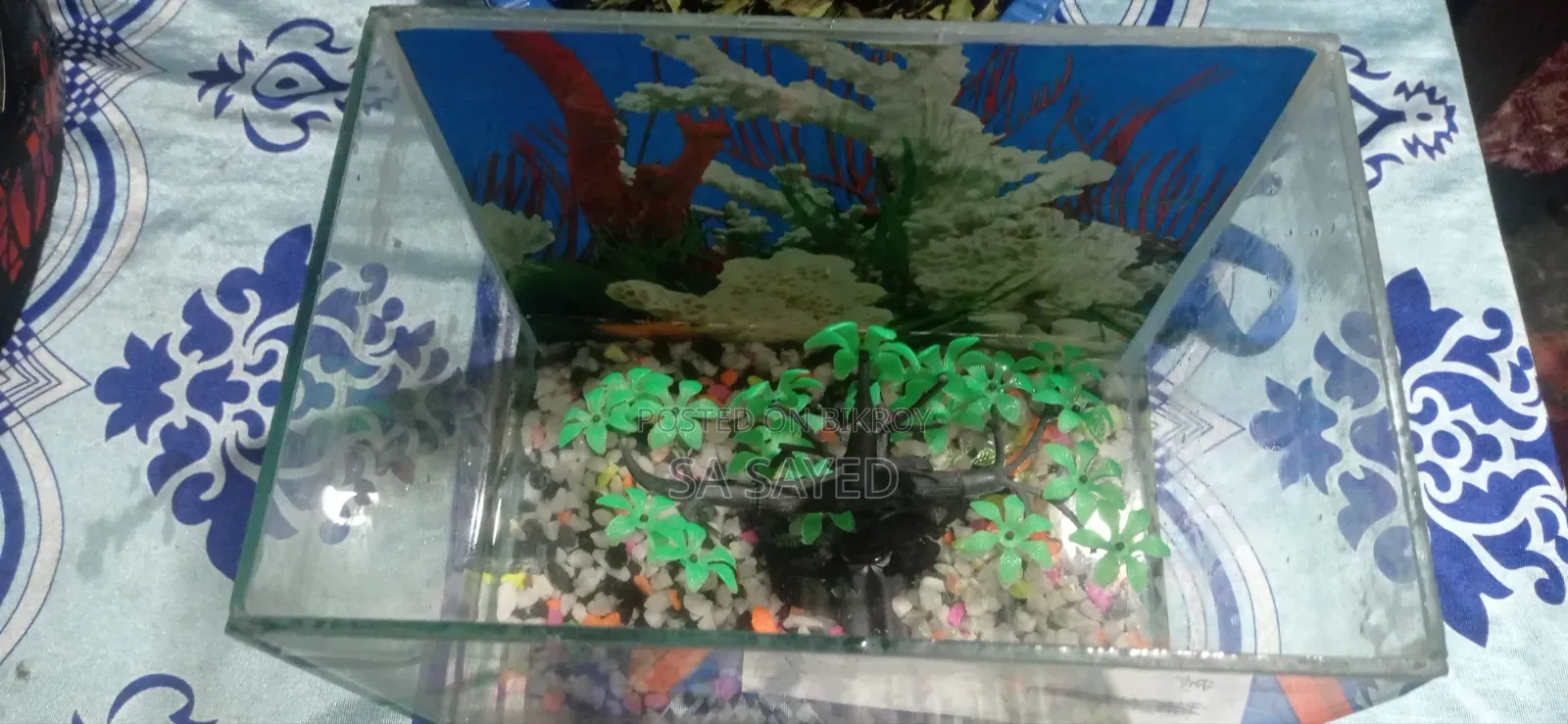 Aquarium Set