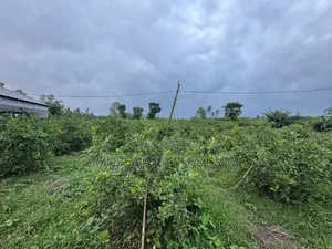 1140 Katha Land Share for Sale in Aftabnagar