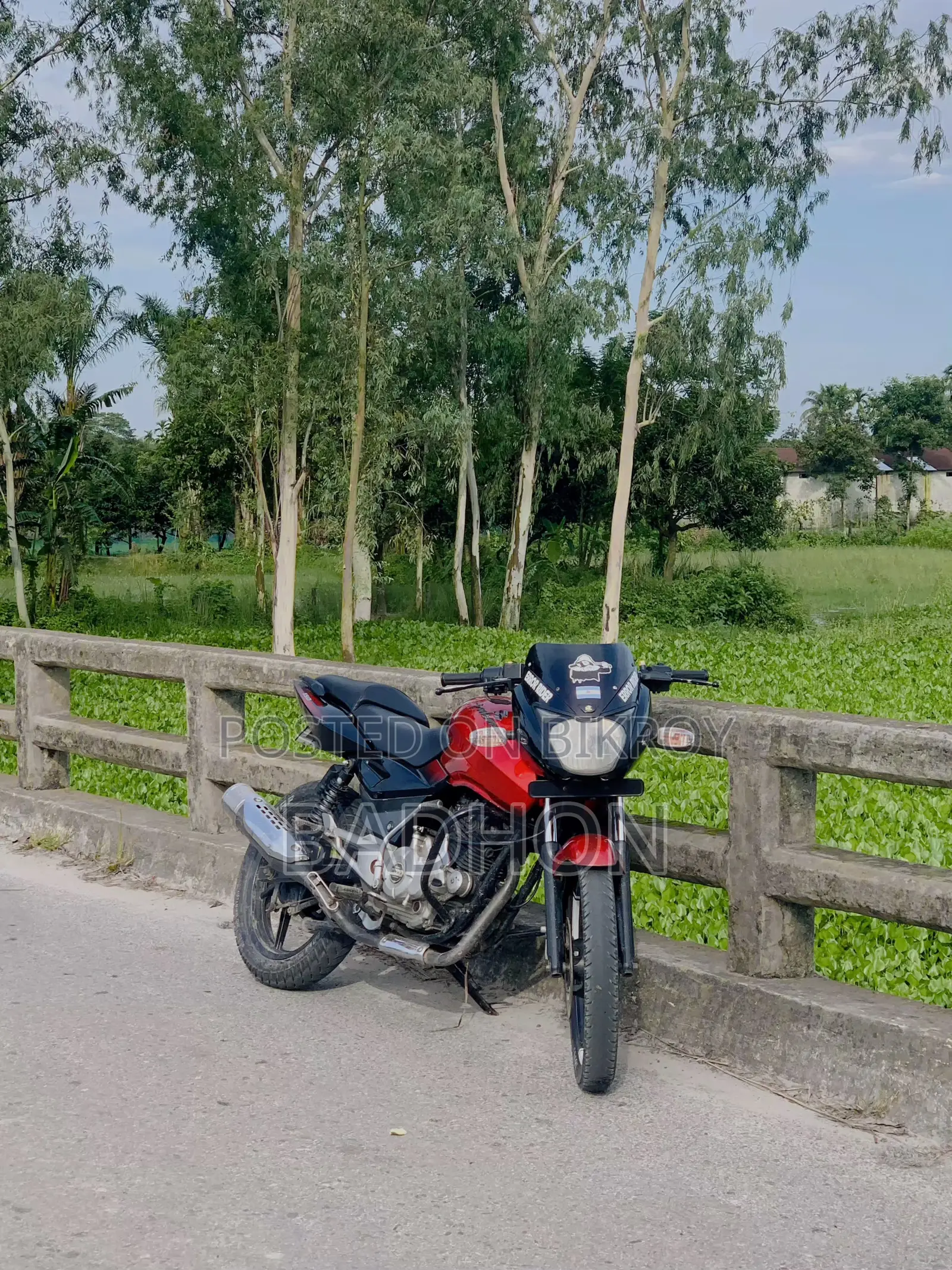 Bajaj Pulsar 150 2012 Red
