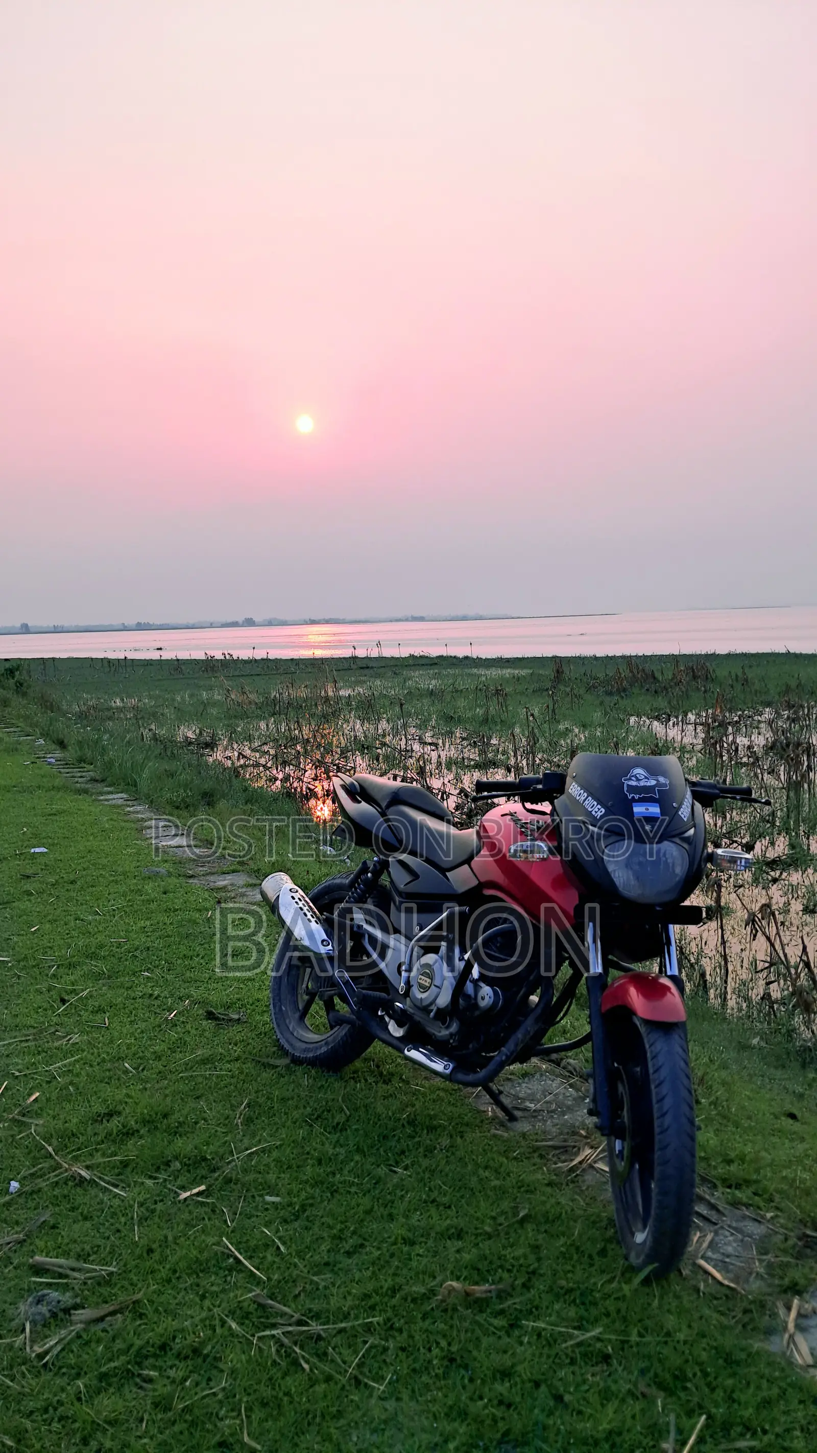 Bajaj Pulsar 150 2012 Red