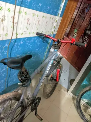 Running Bicycle