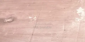 বেড (ফার্মেসী)