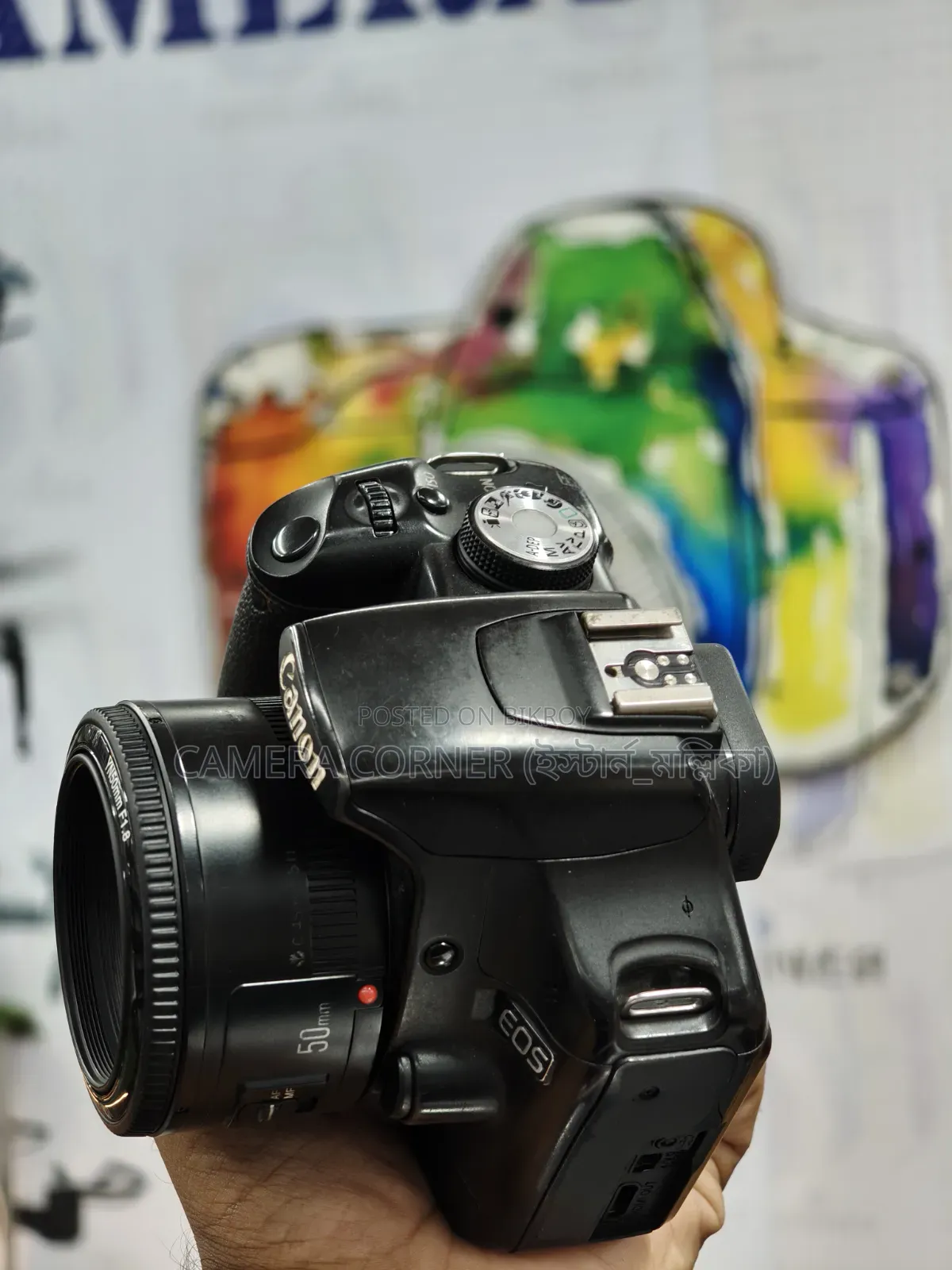 Canon 500D + 50mm Yn F1.8