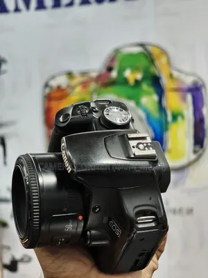 Canon 500D + 50mm Yn F1.8