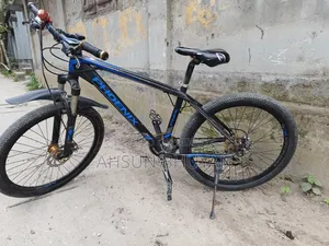 ফিনিক্স বাইসাইকেল