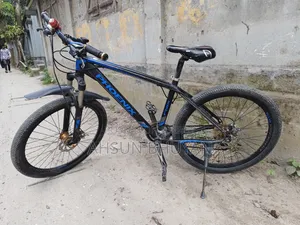 ফিনিক্স বাইসাইকেল