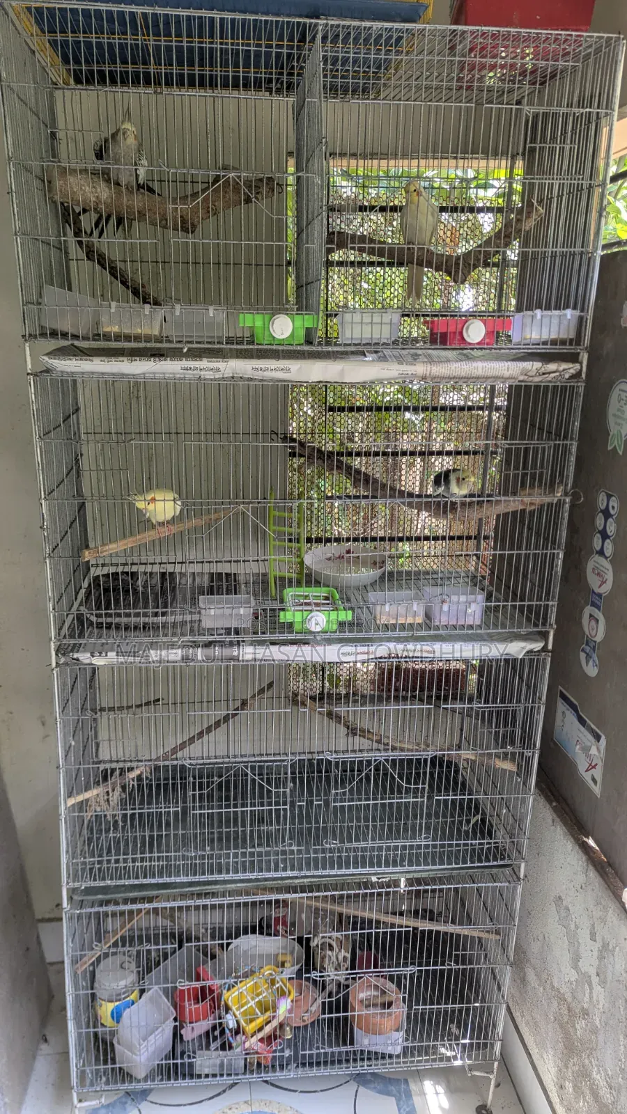Bird Cage length 18 inches, width 36 inches