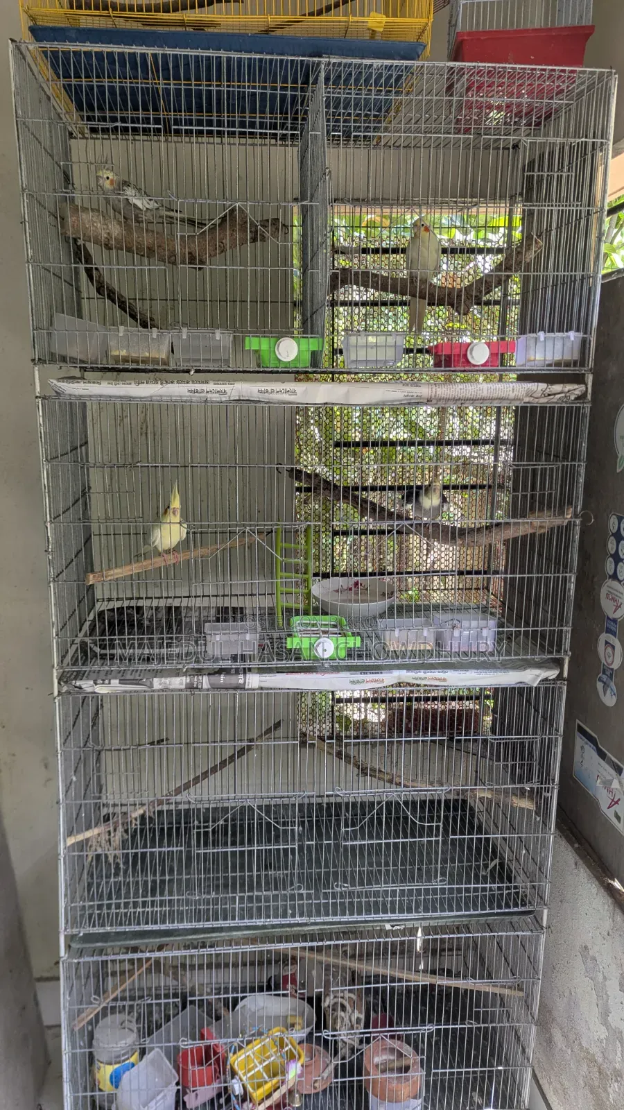 Bird Cage length 18 inches, width 36 inches