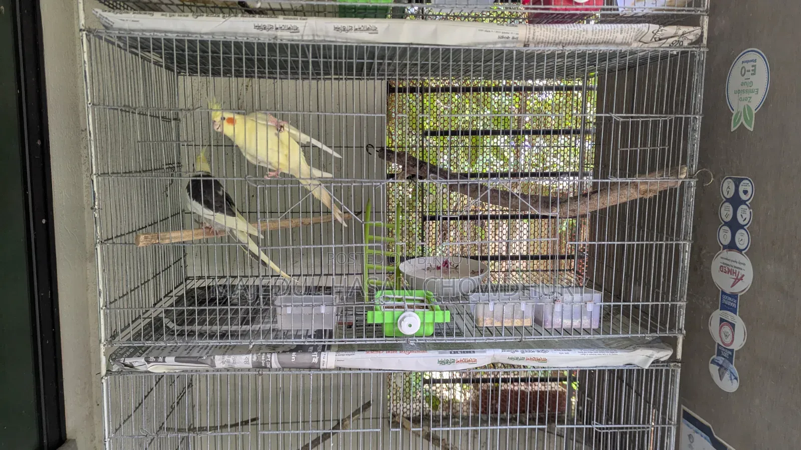 Bird Cage length 18 inches, width 36 inches