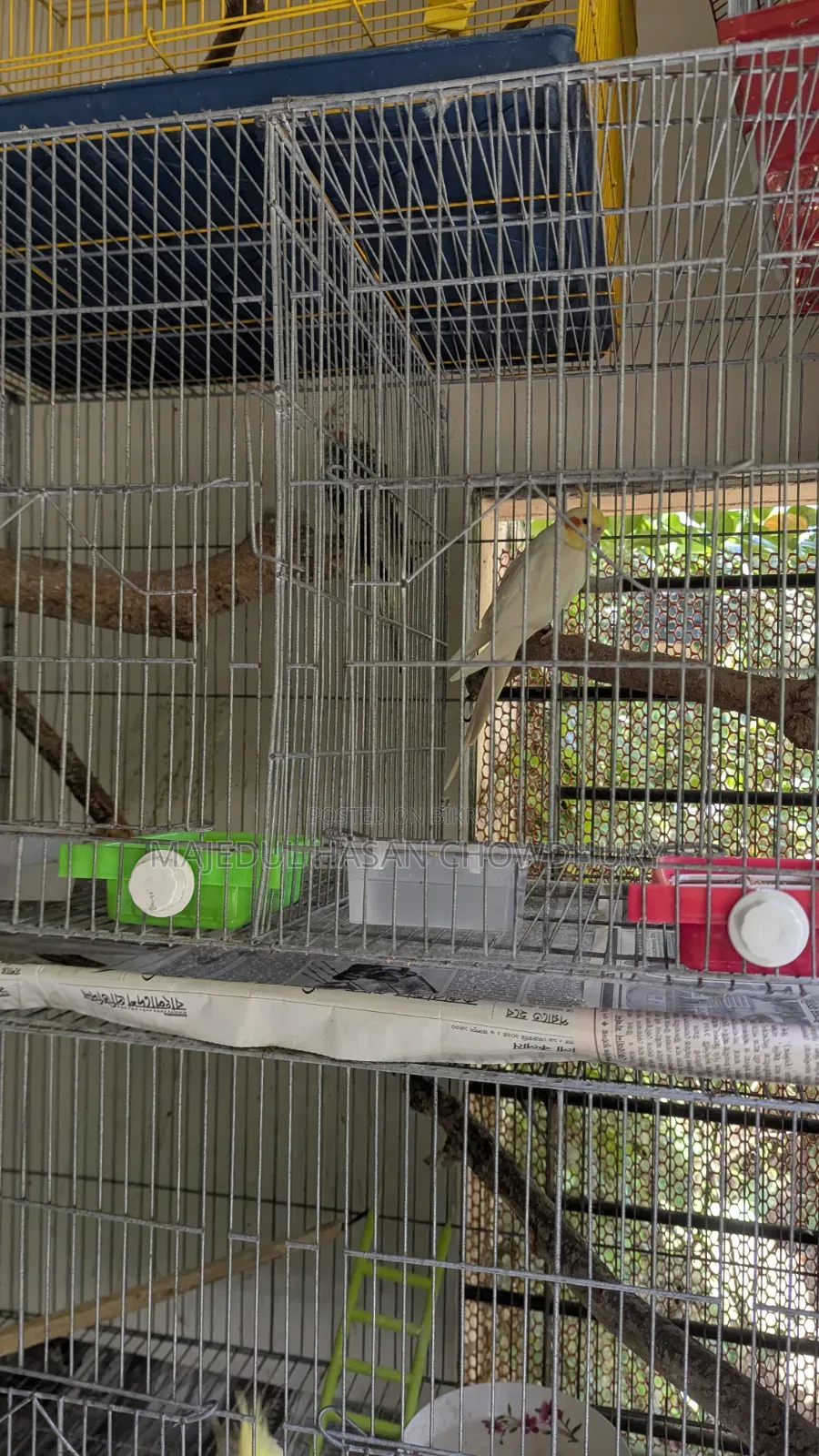 Bird Cage length 18 inches, width 36 inches