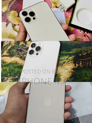 অ্যাপল আইফোন ১২ প্রো ম্যাক্স ২৫৬ জিবি গোল্ড