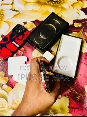 অ্যাপল আইফোন ১২ প্রো ম্যাক্স ২৫৬ জিবি গোল্ড