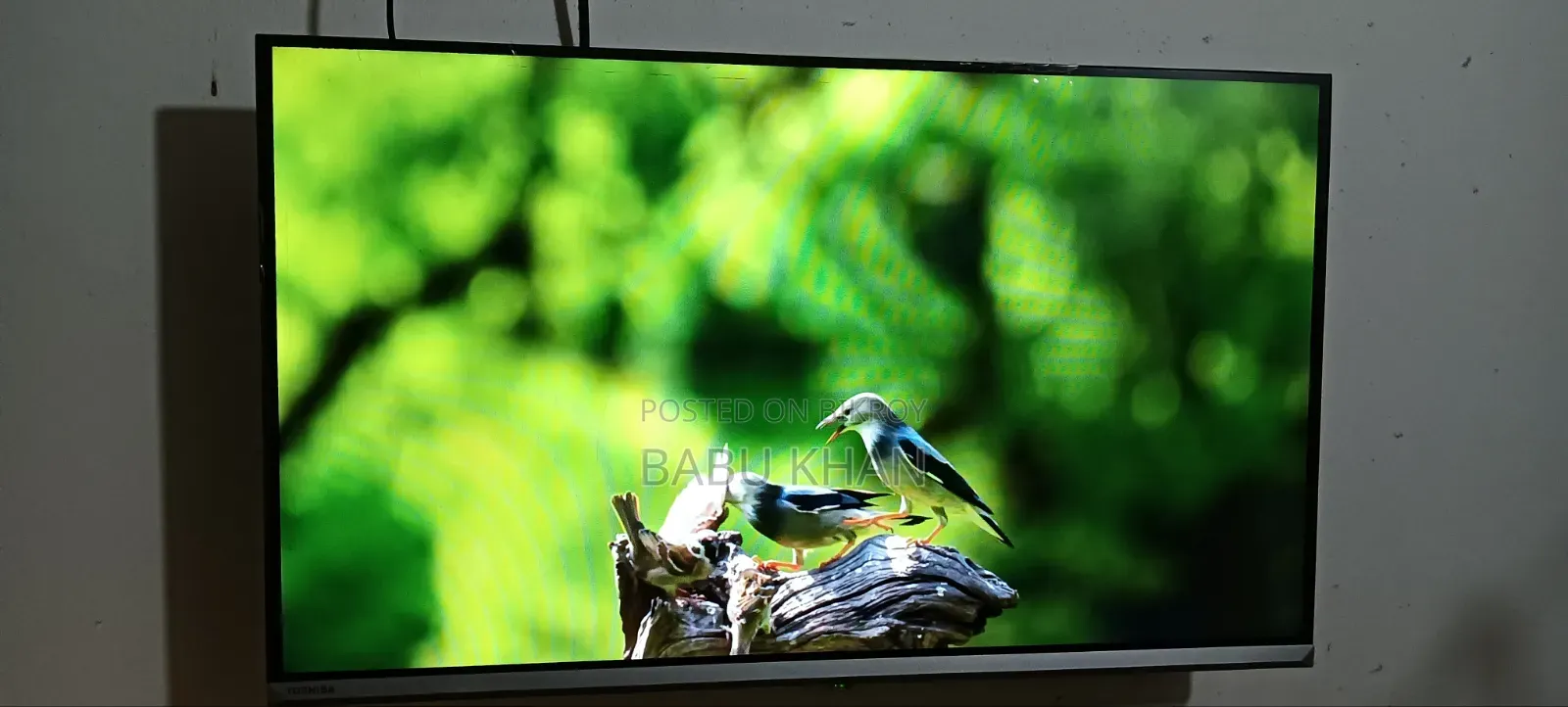 Toshiba TV