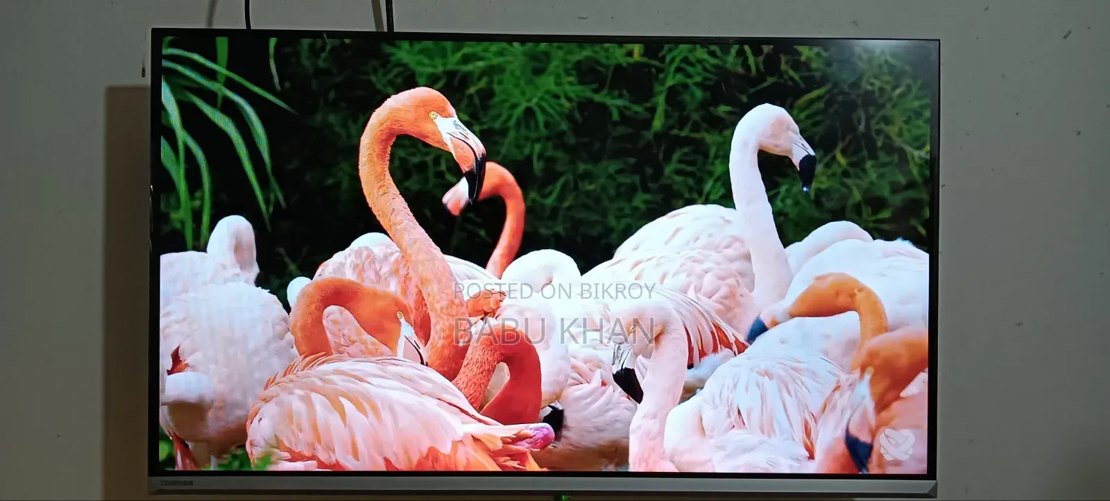 Toshiba TV