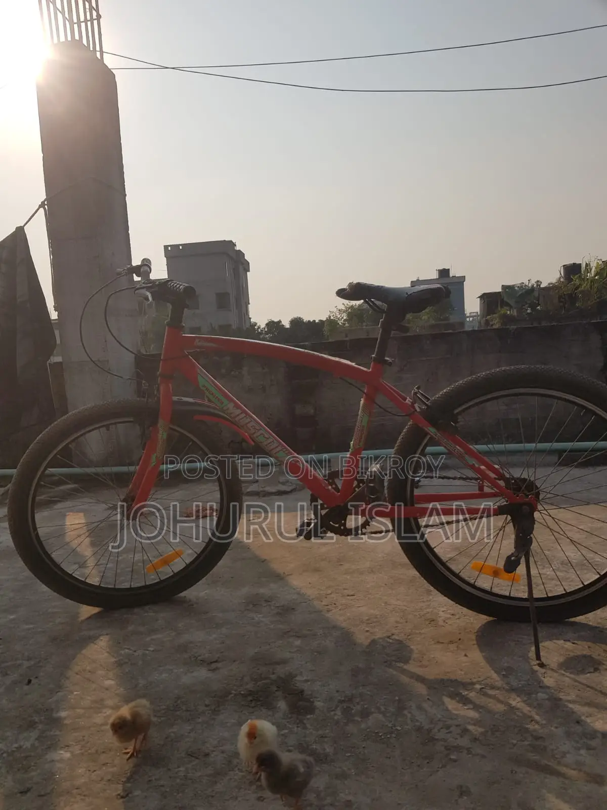 ২৪ ইঞ্চি টায়ার মাসকুলার বাইসাইকেল
