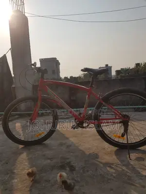 ২৪ ইঞ্চি টায়ার মাসকুলার বাইসাইকেল