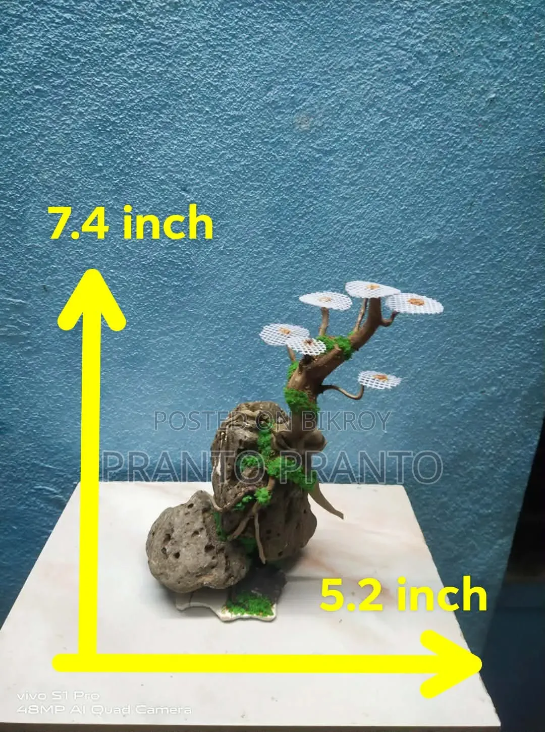 অ্যাকুরিয়াম বনসাই ড্রিম উড / বগউড ক্রাফট