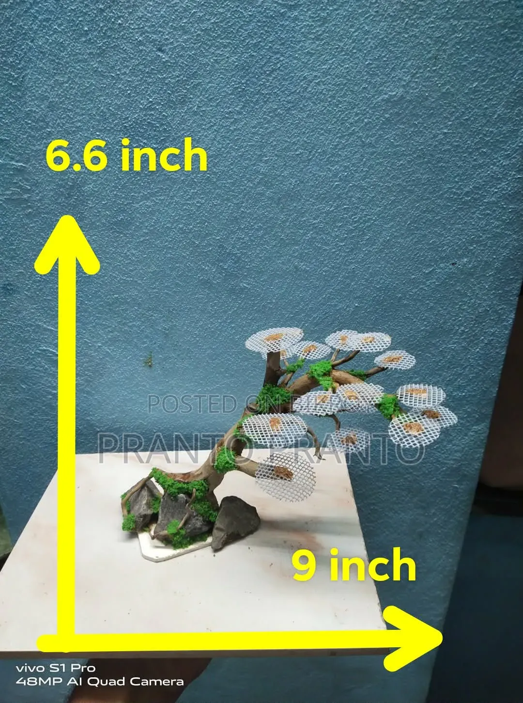 অ্যাকুরিয়াম বনসাই ড্রিম উড / বগউড ক্রাফট