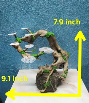 অ্যাকুরিয়াম বনসাই ড্রিম উড / বগউড ক্রাফট