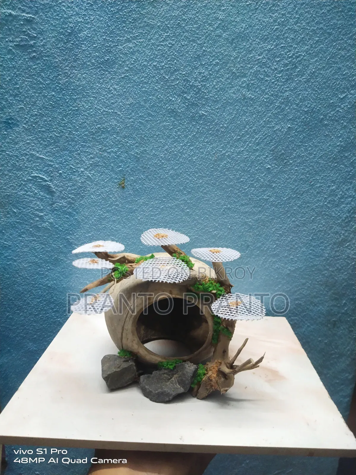 অ্যাকুরিয়াম বনসাই ড্রিম উড / বগউড ক্রাফট