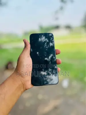 অ্যাপল আইফোন ১২ প্রো ম্যাক্স ২৫৬ জিবি ব্লু