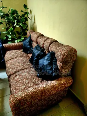 Selling SOFA