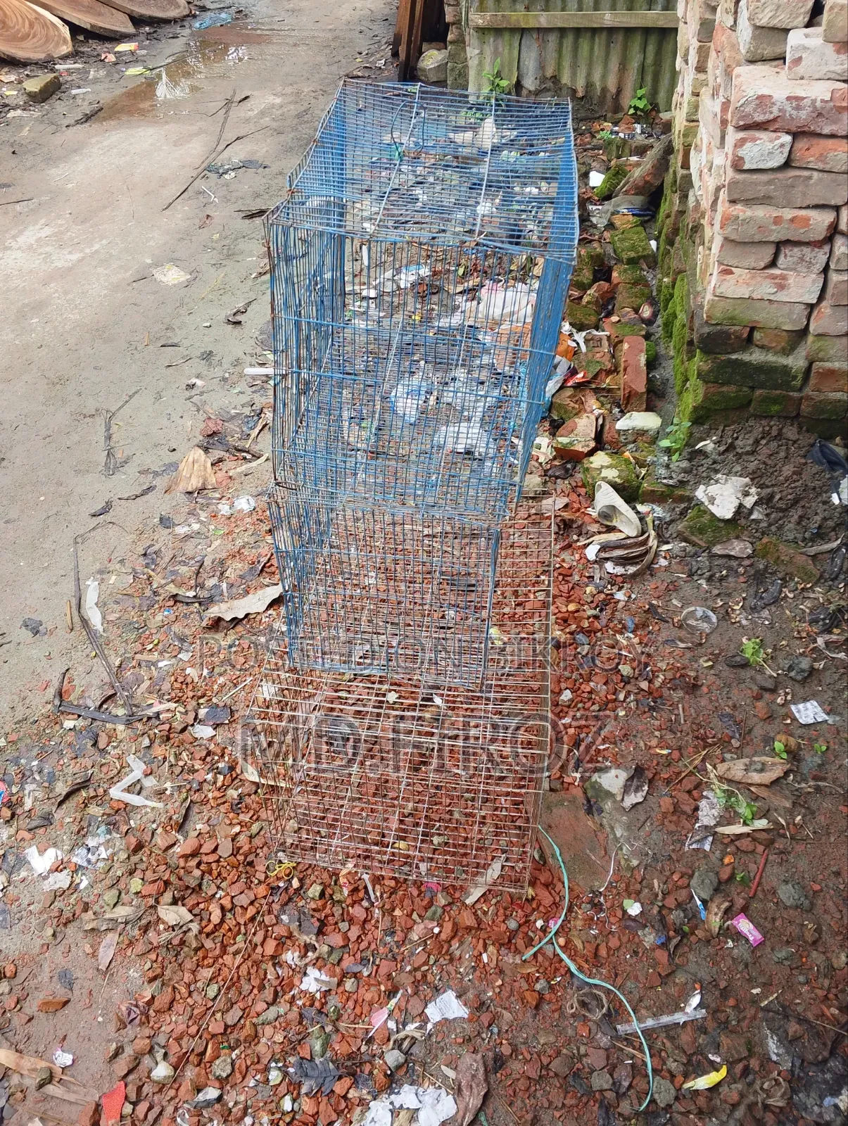 পাখির খাচা,খাবার পাত্র