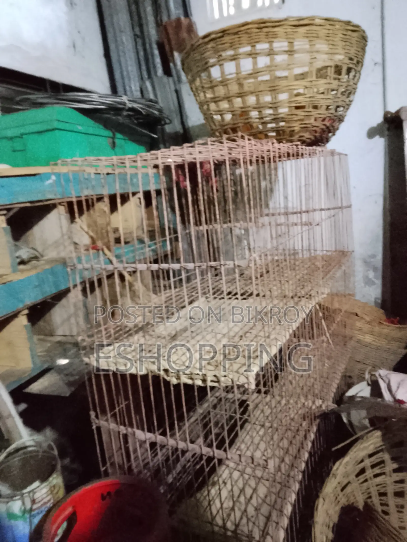 একটা খাঁচা বিক্রি হবে