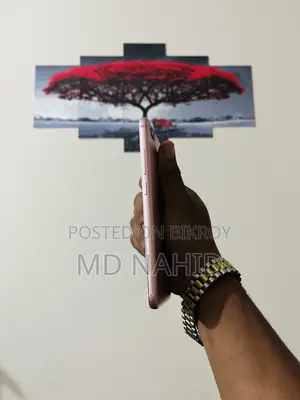 শাওমি মি এ১ ৬৪ জিবি রোজ গোল্ড