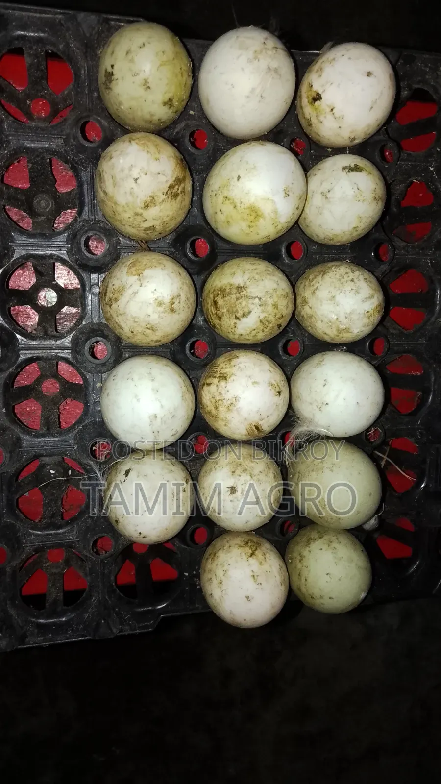 হাঁসের ডিম বিক্রি করা হবে