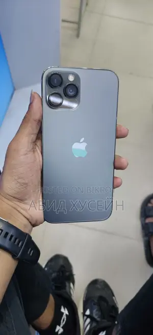 অ্যাপল আইফোন ১২ প্রো ম্যাক্স ২৫৬ জিবি গ্রে