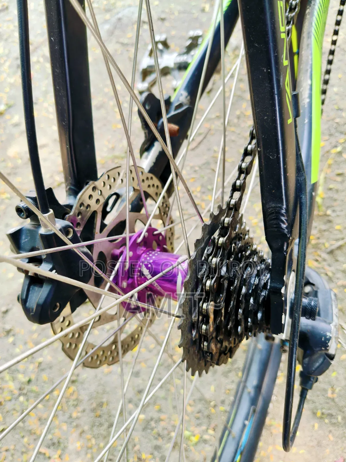 Upland 29 Cycle