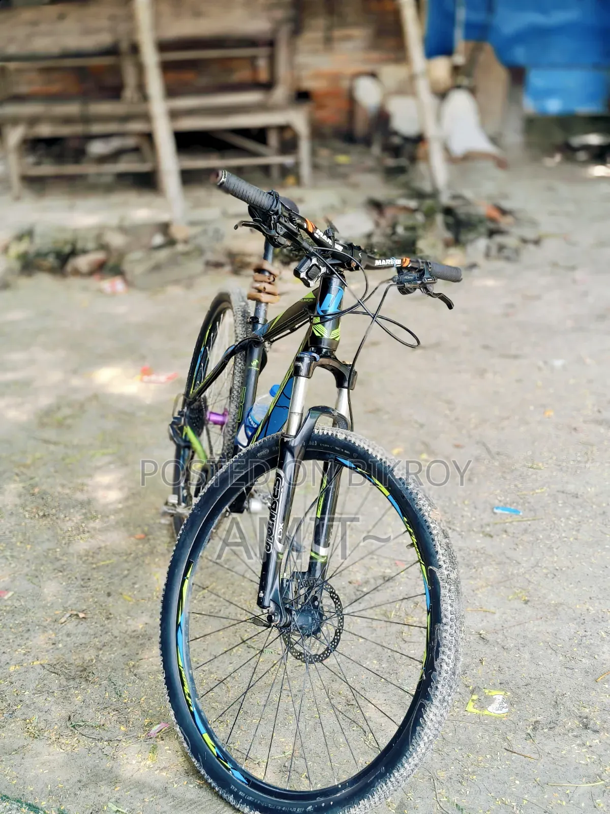Upland 29 Cycle