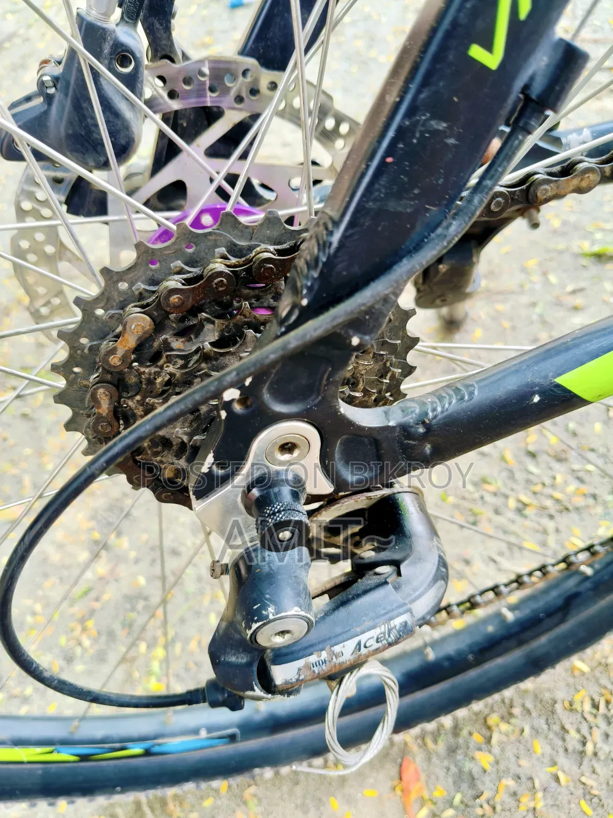Upland 29 Cycle