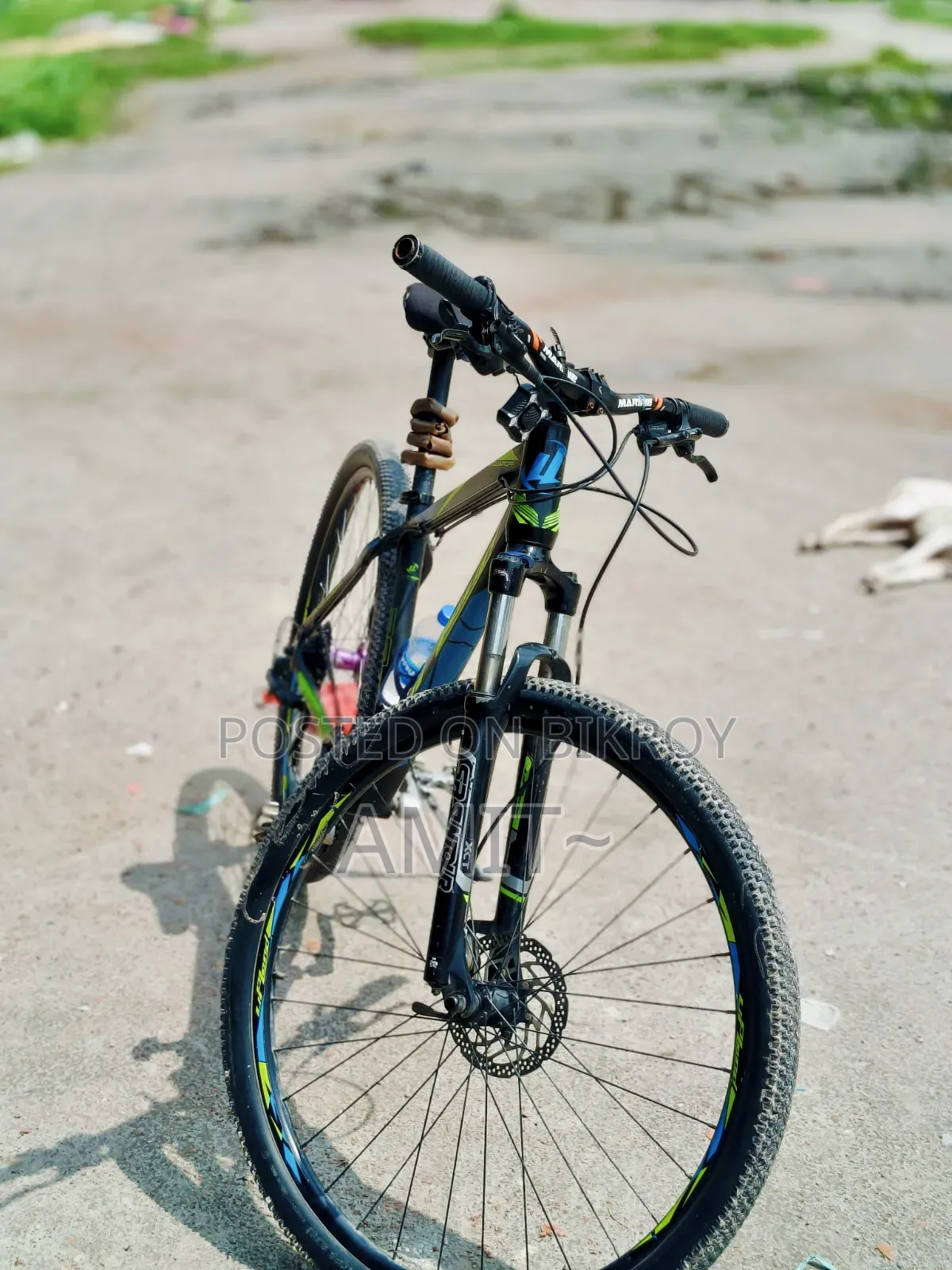 Upland 29 Cycle