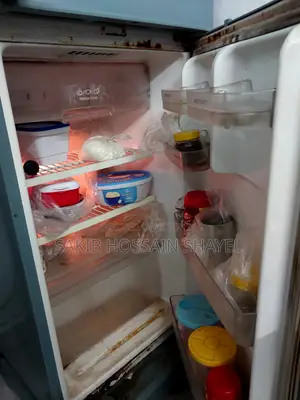 LG Fridge (12cft Probably)
