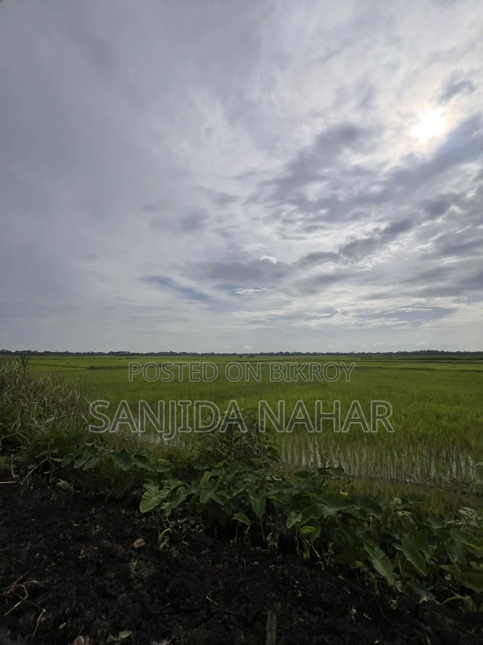 Land for Sale at Affordable Price in Prime Location of Shariatpur Sadar