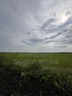 Land for Sale at Affordable Price in Prime Location of Shariatpur Sadar