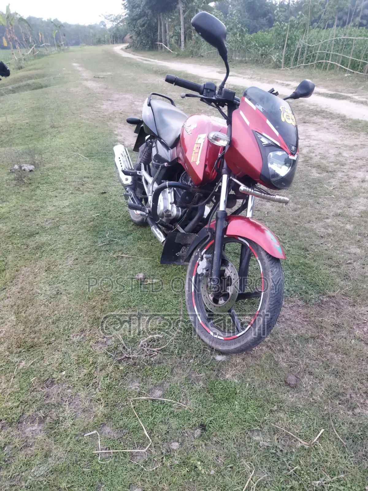 Bajaj Pulsar 150 2012 Red