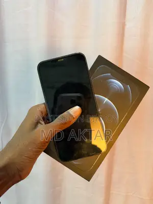 অ্যাপল আইফোন ১২ প্রো ম্যাক্স ২৫৬ জিবি ব্লু