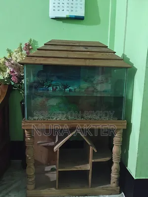 ফিশ অ্যাকুরিয়াম