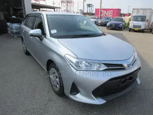 Toyota Corolla Fielder 2021 Silver