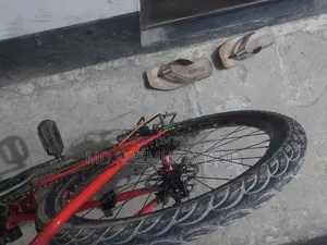 Bicycle Veloce71