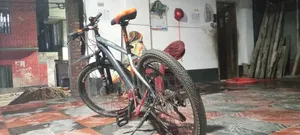Phoenix X Machine 26 Inch
